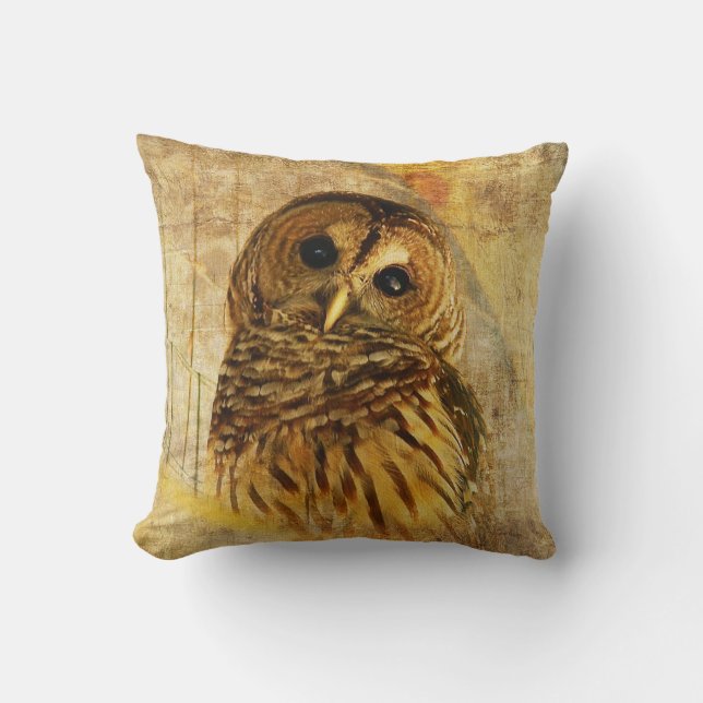 Coussin de hibou barré par Lois Bryan (Recto)