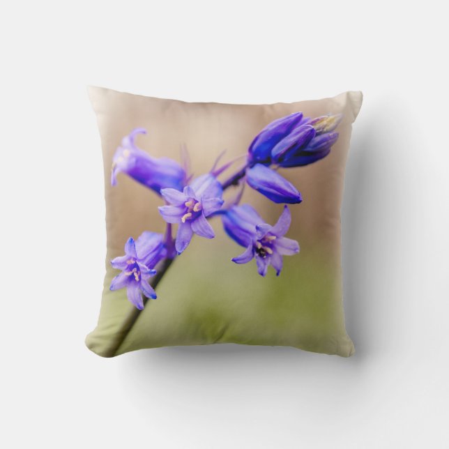 Coussin de jacinthe des bois (Recto)