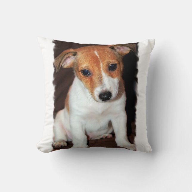 Coussin de Jack Russell Terrier (Recto)