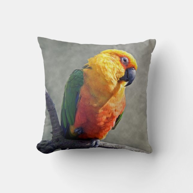 Coussin de Jenday Conure (Recto)