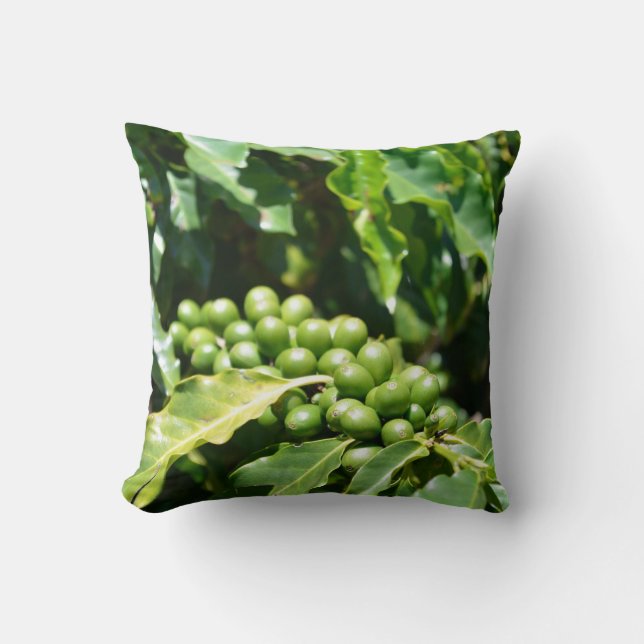 Coussin de jet de baies de café vert (Recto)