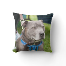 Coussin de jet de Staffie