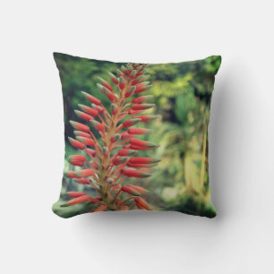 Coussin de jeté avec photo de plante d'Aloe Vera,