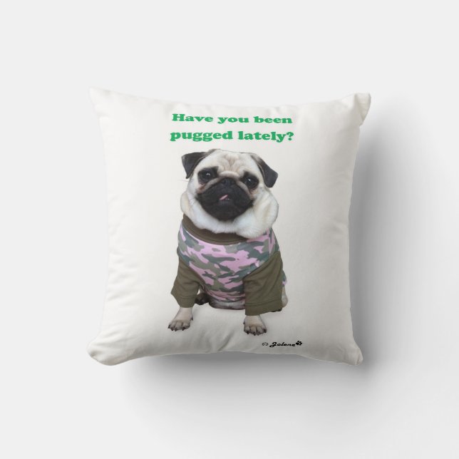Coussin de Jolene de carlin (Recto)