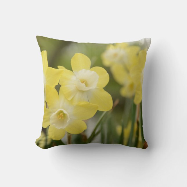 Coussin de jonquille (Recto)