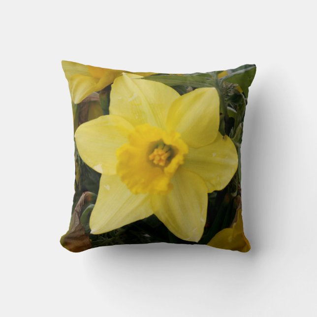 Coussin de jonquille (Recto)
