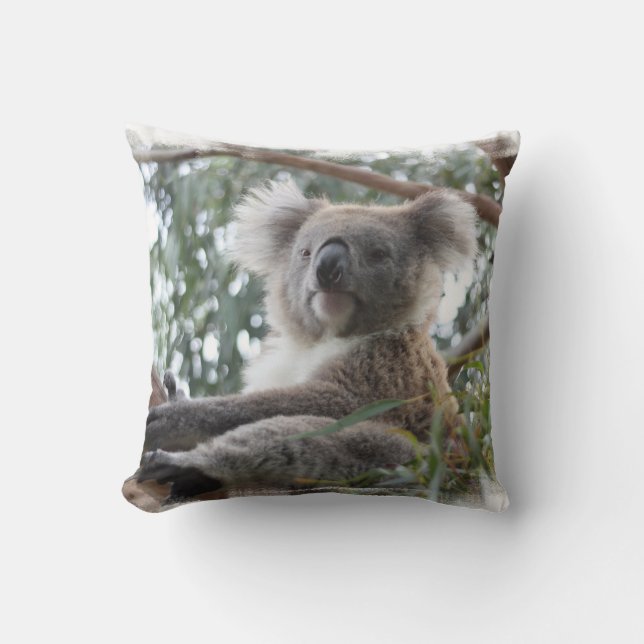 Coussin de koala (Recto)