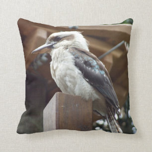 Coussin de Kookaburra
