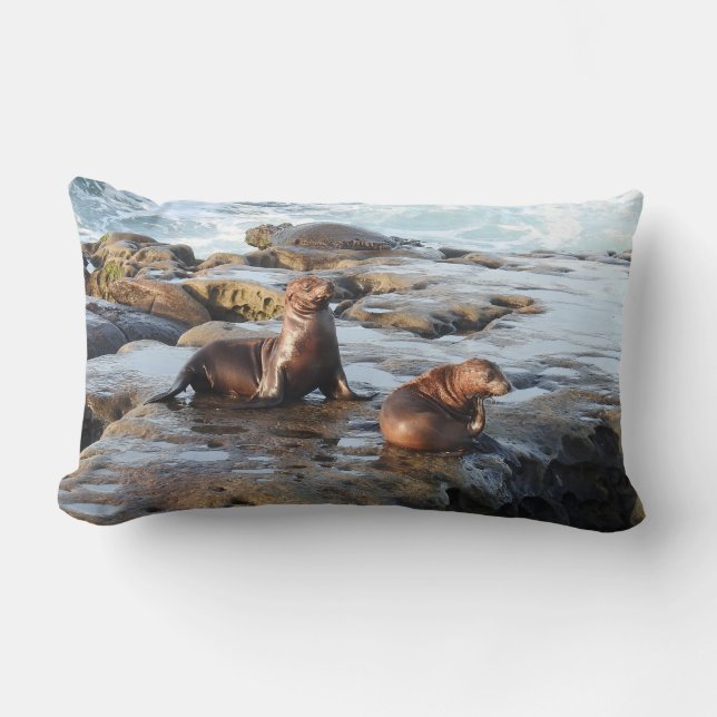 Coussin de la faune, lions de mer de Californie, n (Recto)