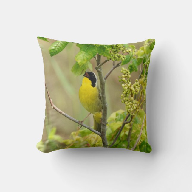 Coussin de la faune, oiseaux, gorge jaune commune (Recto)