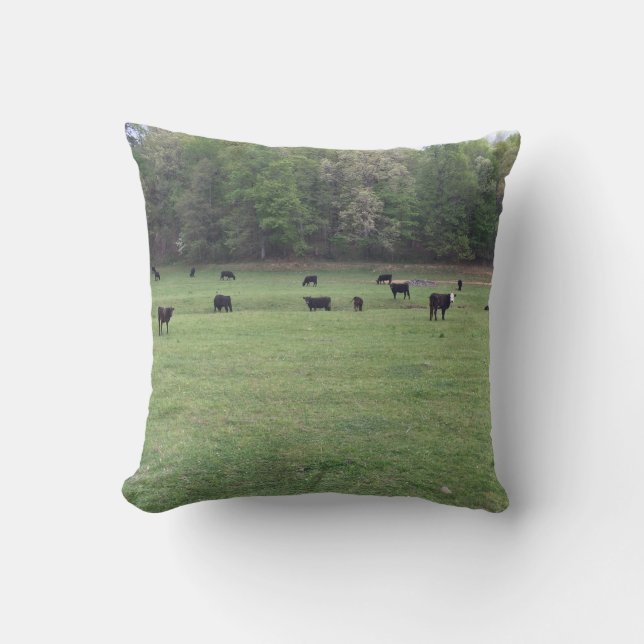 Coussin de la ferme (Recto)
