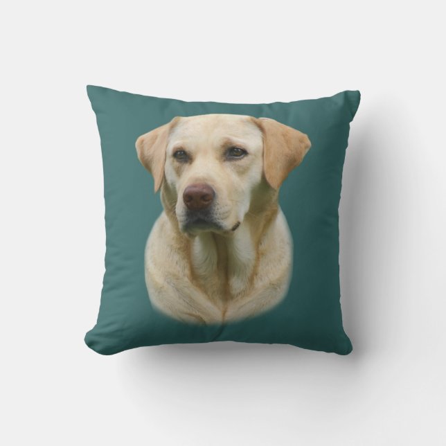 Coussin de laboratoire de jaune d'ami fidèle (Recto)