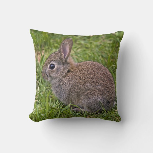 Coussin de lapin de bébé (Recto)