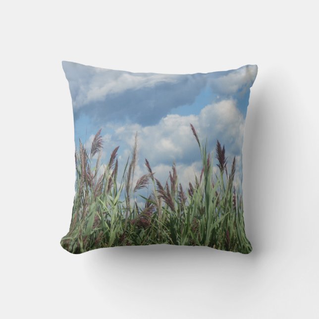 Coussin de l'herbe du marais (Recto)