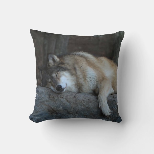 Coussin de loge de loup de sommeil (Recto)