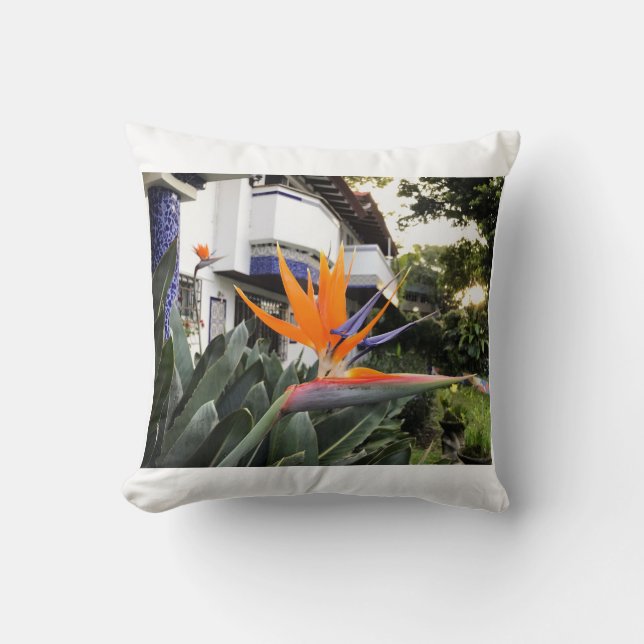 Coussin de l'Oiseau du Paradis (Recto)