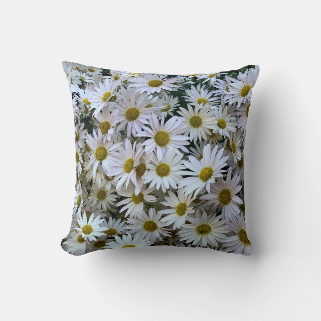 Coussin de marguerite (Recto)