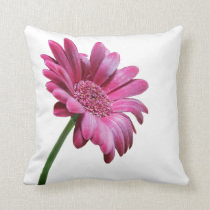 Coussin de Marguerite Gerbera