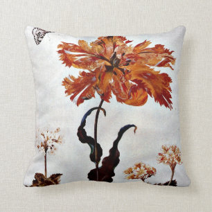 Coussin De Metamorphosis Insectorum Surinamensium