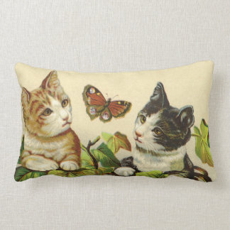 Coussin de MoJo d'Américain de chatons