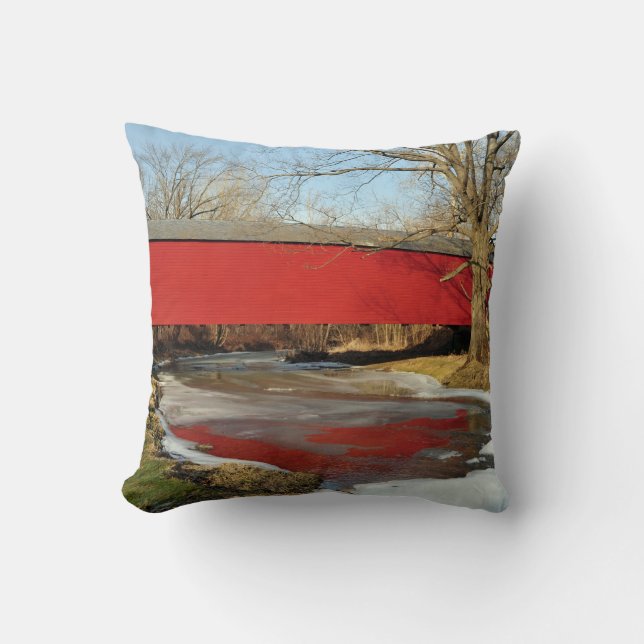 Coussin de MoJo d'Américain de dégel d'hiver (Recto)