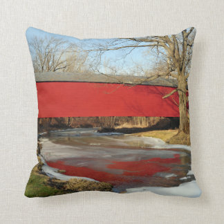 Coussin de MoJo d'Américain de dégel d'hiver