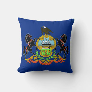 Coussin de MoJo d'Américain de drapeau d'état de
