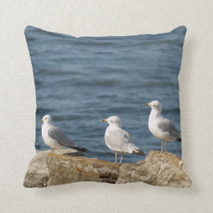 Coussin de MoJo d'Américain de mouettes