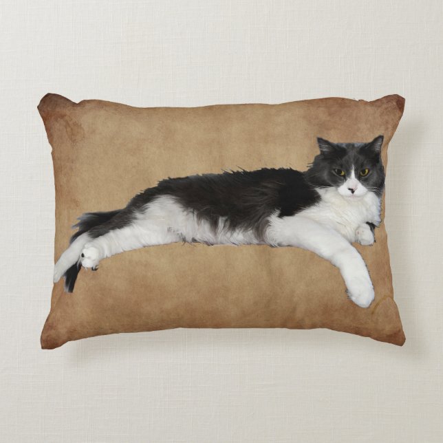 coussin de mortier (Devant)