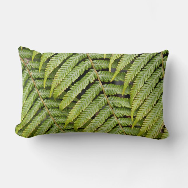 Coussin de motif de fougère (Recto)