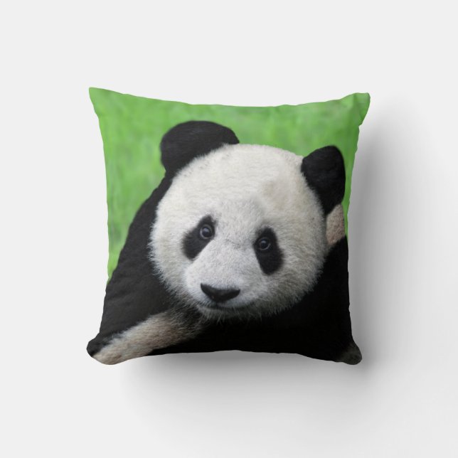 Coussin de panda géant (Recto)
