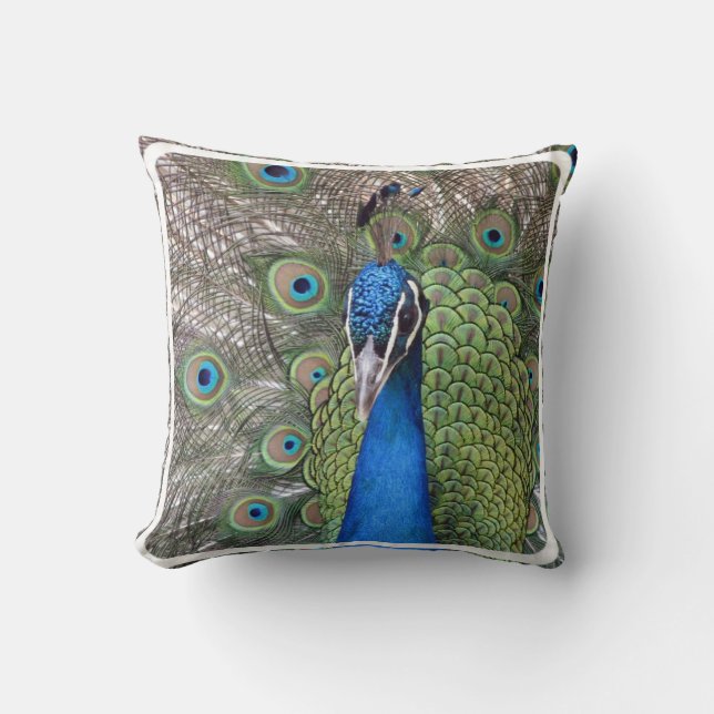 Coussin de paon (Recto)