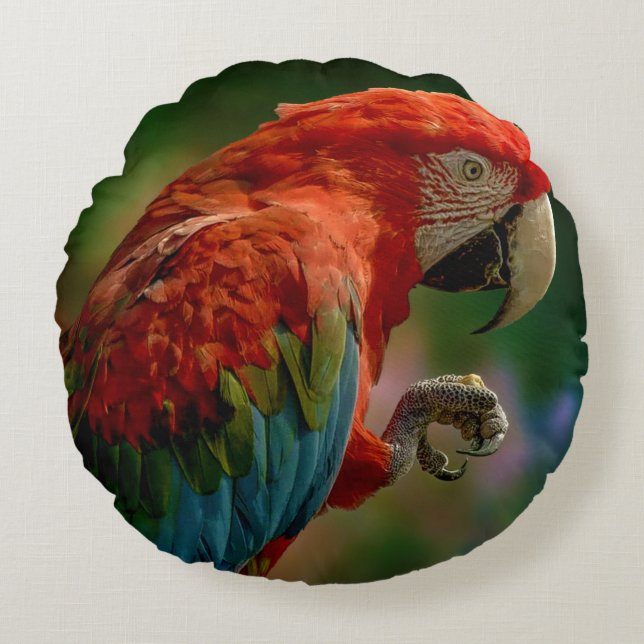 Coussin de perroquet coloré (Devant)