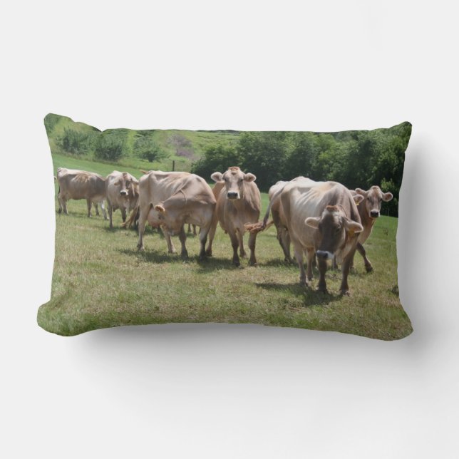 Coussin de petit somme de Suisse Brown (Recto)