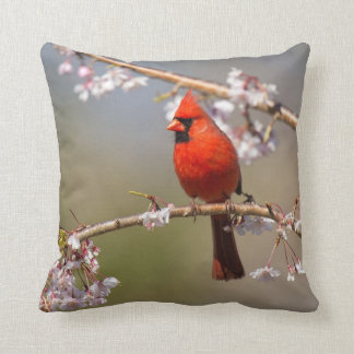 Coussin de photo d'oiseaux de Chambre