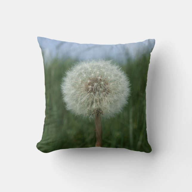 Coussin de pissenlit (Recto)
