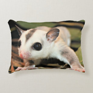 Coussin de planeur de sucre