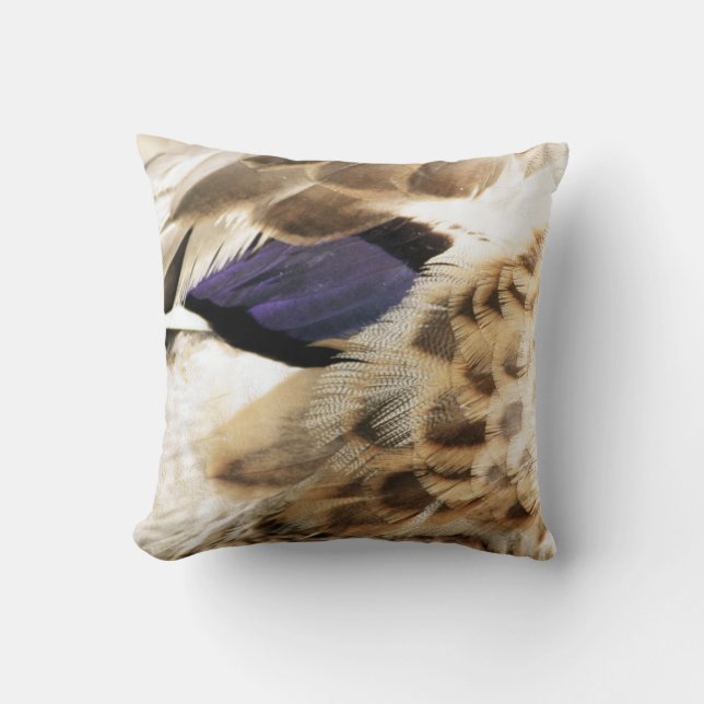 Coussin de plumes de canard (Recto)