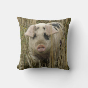 Coussin de porc mignon