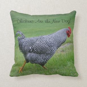 Coussin de poulet
