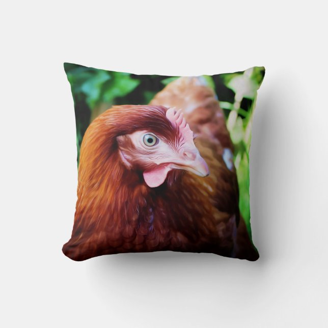 Coussin de poulet (Recto)