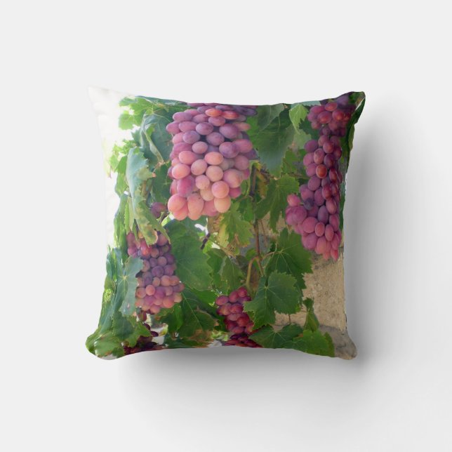 Coussin de raisins de vin (Recto)