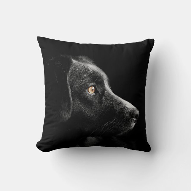 coussin de récupération du labrador noir (Recto)