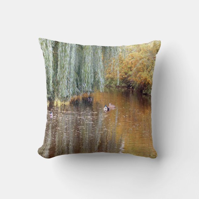 Coussin de réflexion de Willow de pleur (Recto)
