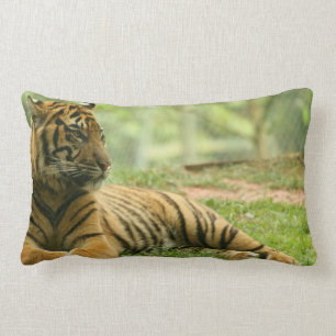 Coussin de repos de tigre