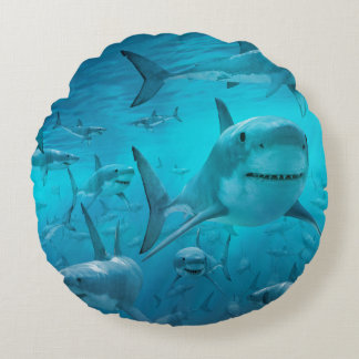 coussin de requin