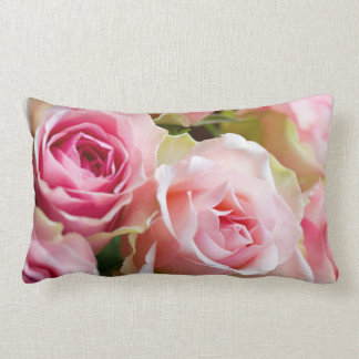 Coussin de rose de rose