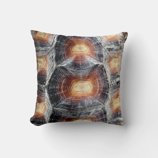 Coussin de Sulcata (Recto)