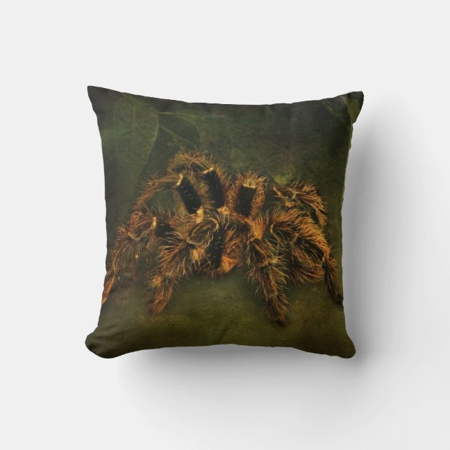 Coussin de tarentule (Recto)