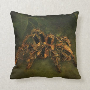 Coussin de tarentule